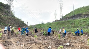 xã Vũ Oai tiếp tục vận động nhân dân trồng cây có hoa hưởng ứng Đề án "Hạ Long thành phố của hoa và lễ hội"